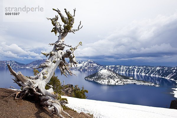 bedecken  See  Insel  Ansicht  Krater  Oregon  Schnee