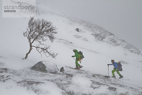 Norway  Lyngen  Skiers walking in blizzard