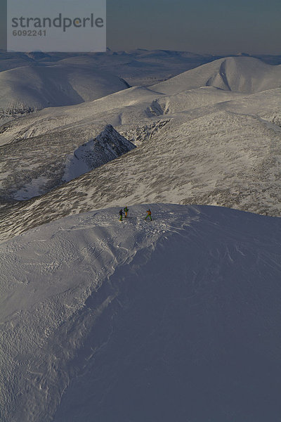 Sweden  Skier standing on polar peak