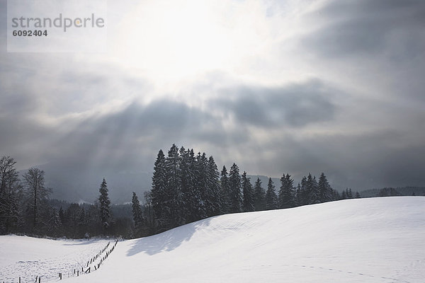 Deutschland  Bayern  Blick auf die Winterlandschaft