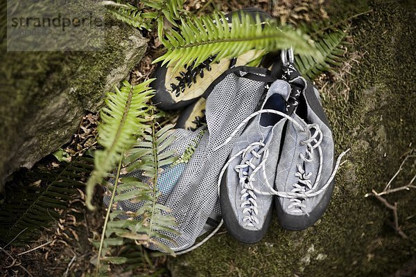 ruhen  unterhalb  Schuh  Boden  Fußboden  Fußböden  Farn  klettern  Rest  Überrest