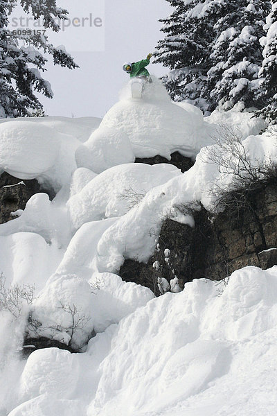 Snowboardfahrer  springen  groß  großes  großer  große  großen  Kopfkissen  Gesichtspuder  Colorado