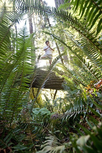 Baum  groß  großes  großer  große  großen  zeigen  Insel  Yoga  Erwachsener  British Columbia  Vancouver