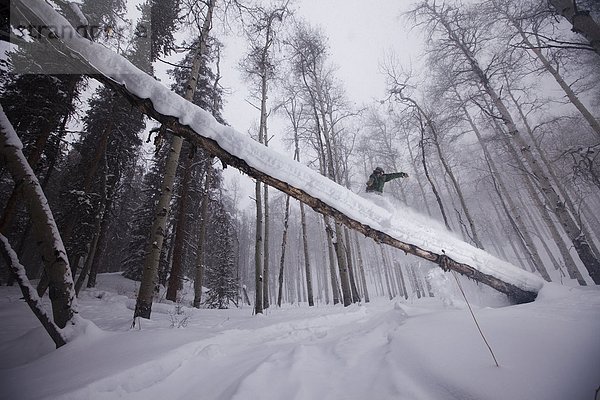 hoch  oben  Snowboardfahrer  bedecken  fahren  Colorado  Schnee