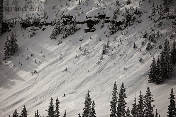Skifahrer  Gesichtspuder  Einsamkeit  Colorado  tief