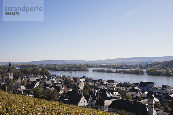 Deutschland  Rheinland-Pfalz  Rüdesheim  Blick auf die Weinberge mit dem Rhein