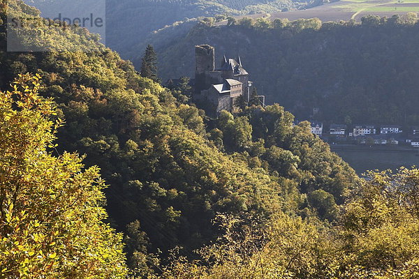 Deutschland  Rheinland-Pfalz  Blick auf die Burg Katz mit dem Rhein