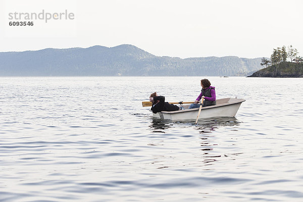 klein  Boot  Insel  jung  Geräusch  Schwertwal  Orcinus orca
