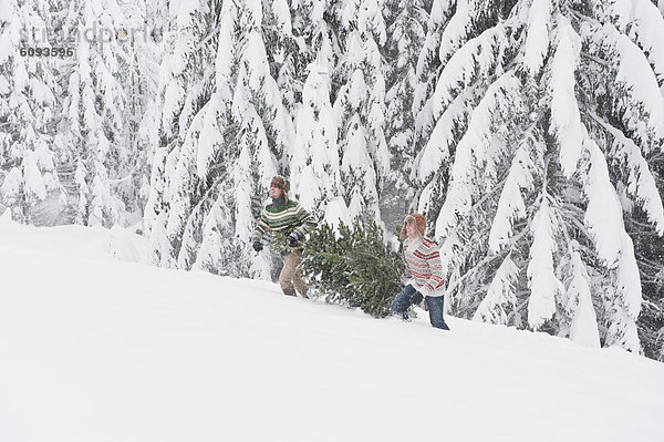 Österreich  Salzburg  Junge Männer mit Weihnachtsbaum im Winter