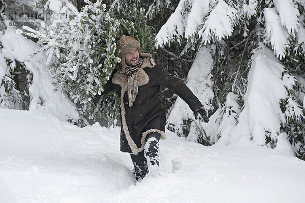 Österreich  Salzburger Land  reifer Mann mit Weihnachtsbaum  lächelnd