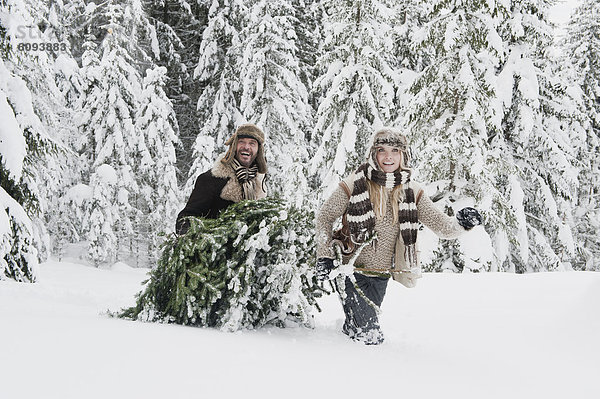 Österreich  Salzburger Land  Paar zieht Weihnachtsbaum in Winterlandschaft