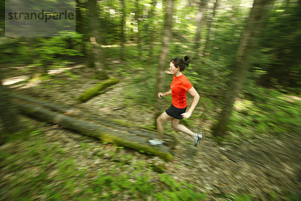 Frau  folgen  rennen  grün  Überfluss  Wald