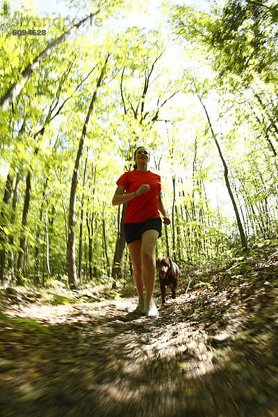 Frau  folgen  rennen  grün  Überfluss  Wald  Hund