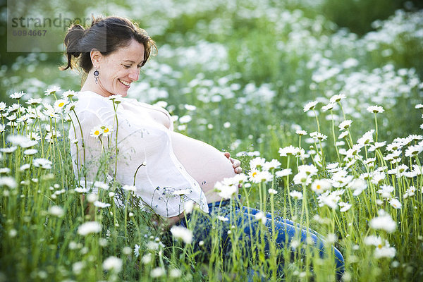 Frau  sitzend  Schwangerschaft  Feld  Gänseblümchen  Bellis perennis  New Mexico