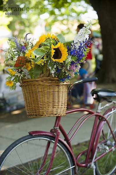 Schönheit  sitzend  Blume  Korb  offen  Markt  alt