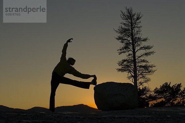 Frau  Abend  Beleuchtung  Licht  jung  Yoga  Reh  Capreolus capreolus