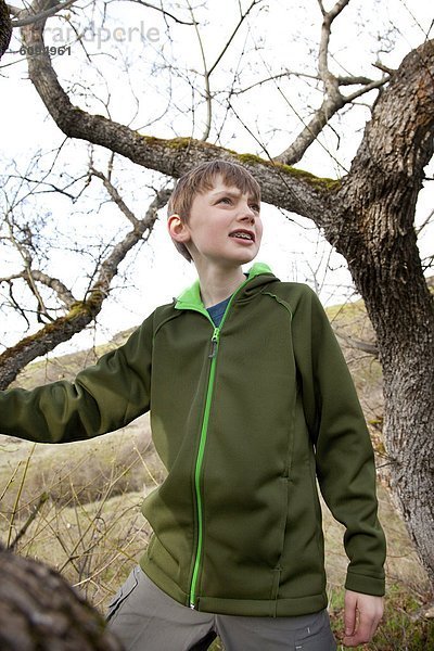 stehend  Junge - Person  Baum  jung