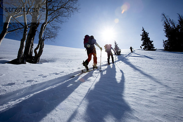 niedrig  Mann  4  Silhouette  Tagesausflug  Ski  unbewohnte  entlegene Gegend  Winkel