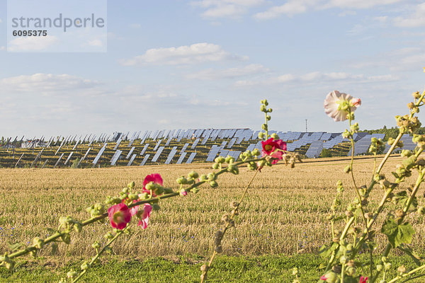 Deutschland  Sachsen  Ansicht der Solarmodule