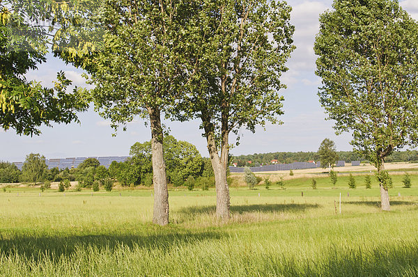 Deutschland  Sachsen  Ansicht der Solarmodule