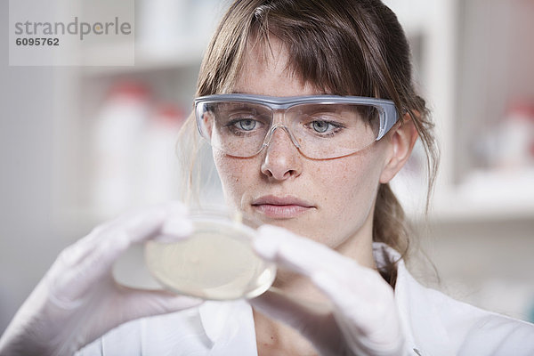 Deutschland  Bayern  München  Wissenschaftler mit Petrischale im Labor