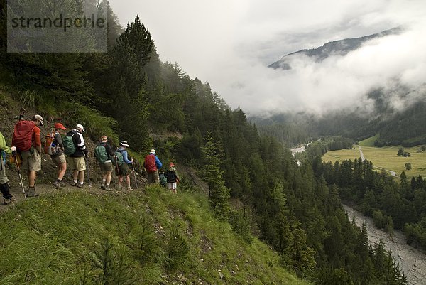 Hügel  Überfluss  Tal  Wald  wandern  Reise  unterhalb