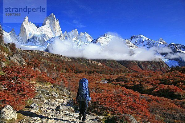 Rucksackurlaub  Herbst  Strauch  Argentinien  Patagonien