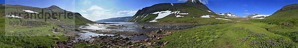 Sonnenstrahl  ruhen  Schuh  Rucksackurlaub  Wildblume  Island