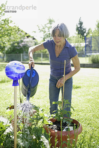 Seniorin beim Gießen von Pflanzen im Garten