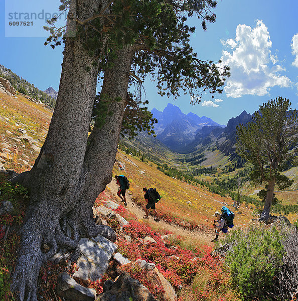 Ehrfurcht  wandern  Wyoming