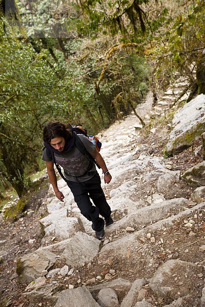Stufe  Stein  aufwärts  Bergwanderer  Nepal