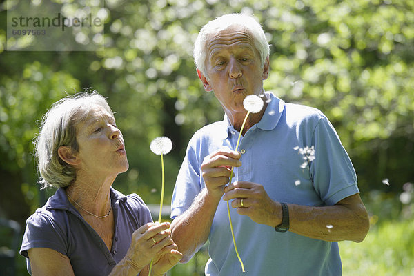 Germany  Bavaria  Senior couple blowing blowball