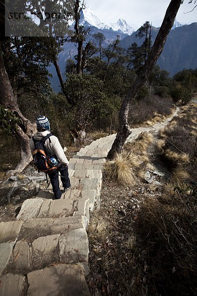 Stufe  Stein  Hügel  Einsamkeit  Bergwanderer  Nepal