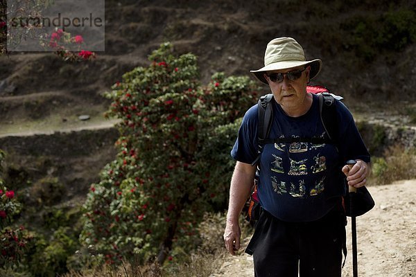 Biegung  Biegungen  Kurve  Kurven  gewölbt  Bogen  gebogen  Berg  gehen  Weg  Einsamkeit  Bergwanderer  Nepal
