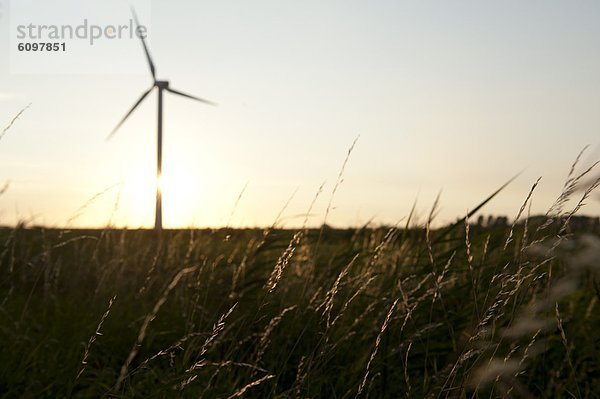 Windturbine Windrad Windräder Ländliches Motiv ländliche Motive Silhouette niederländisch