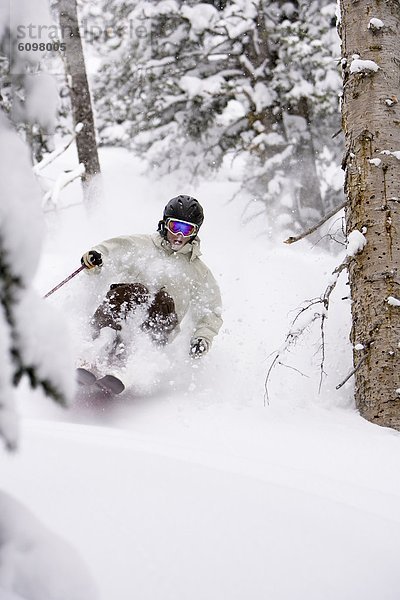 Mann  Baum  Skisport  Gesichtspuder  Utah