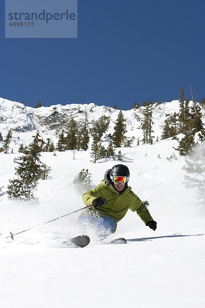 Mann  Tag  Frische  Skisport  Berghüttensänger  Sialia currucoides  Schnee