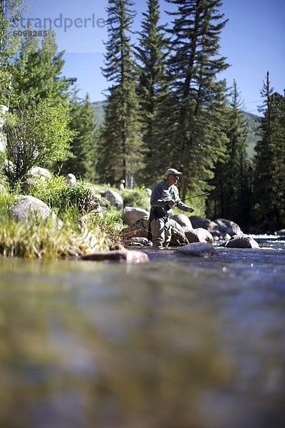 Fluss  gehen  angeln  Fischer  Vail