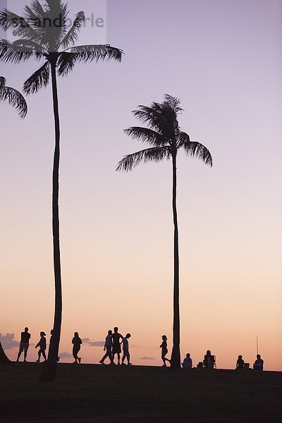 Mensch  Menschen  Strand  Abend  Silhouette  Hawaii  Honolulu  Dämmerung