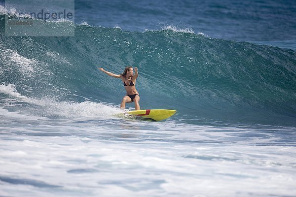 Felsen  zeigen  Mädchen  Hawaii  North Shore  Oahu  Wellenreiten  surfen