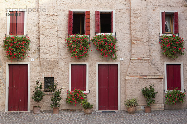 Italien  Provinz Venedig  Fassade mit Blumentöpfen