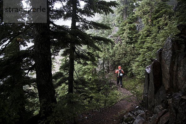 gehen  Dunkelheit  folgen  Jacke  Wald  wandern  unterhalb  Kleidung  vorwärts