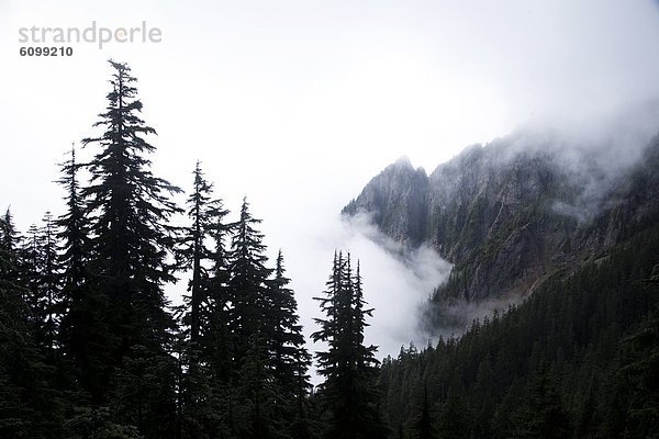 Fotografie  Landschaft  Nebel