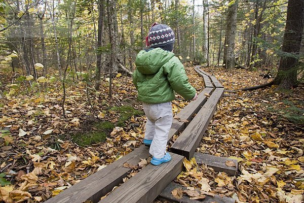 gehen Brücke wandern jung Mädchen