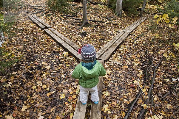 gehen Brücke wandern jung Mädchen