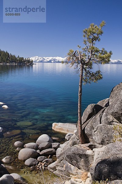 Wasserrand  Felsen  Baum  See  Nevada  Kiefer  Pinus sylvestris  Kiefern  Föhren  Pinie  Einsamkeit