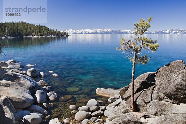 Wasserrand  Felsen  Baum  See  Nevada  Kiefer  Pinus sylvestris  Kiefern  Föhren  Pinie  Einsamkeit