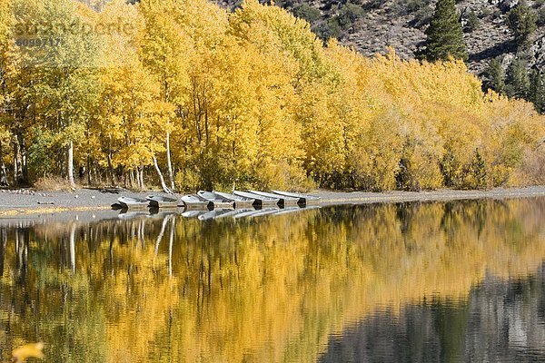 Berg  Baum  Spiegelung  See  Boot  Herbst  angeln  Silber  Espe  Populus tremula  Kalifornien