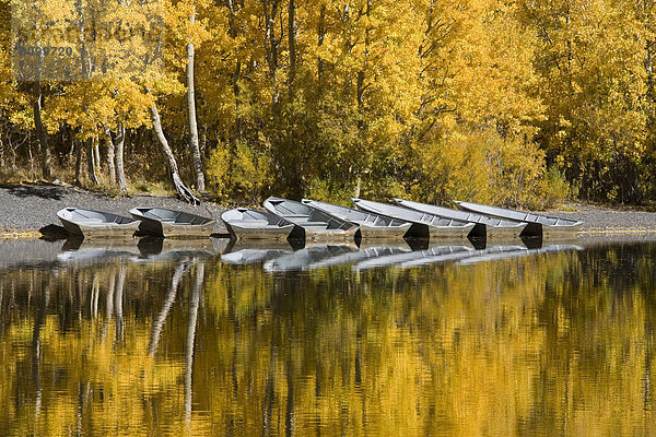 Berg  Baum  Spiegelung  See  Boot  Herbst  angeln  Silber  Espe  Populus tremula  Kalifornien