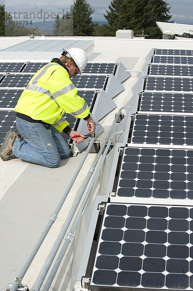 Dach  Energie  energiegeladen  Technischer Beruf  grün  berichtigen  Photovoltaik
